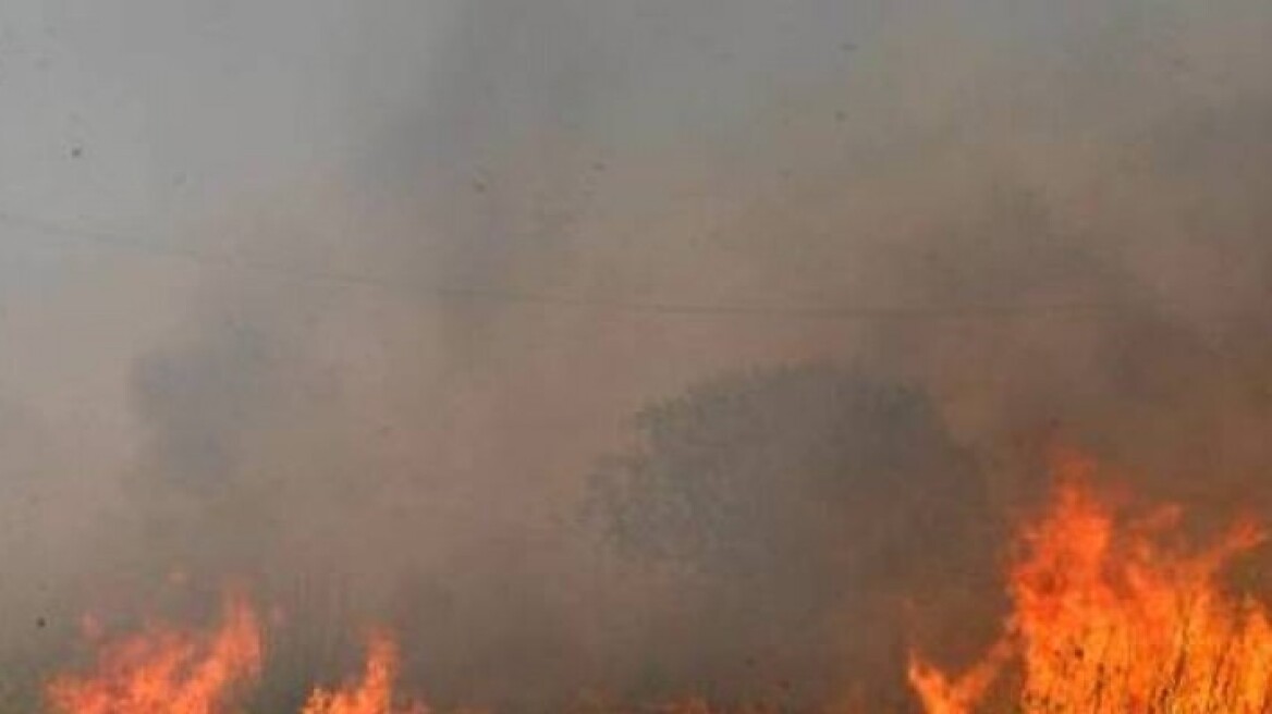 Μεγάλη πυρκαγιά σε αγροτοδασική έκταση στη Σητεία Κρήτης